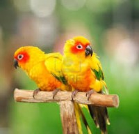 /album/fotogaleria-inicio/descarga-jpg/